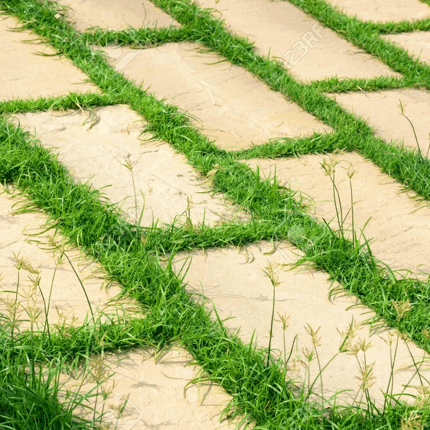 Trimmer de iarbă de suprafață de pavaj - imagine 7