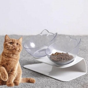 Bol Ortopedic Pentru Pisici