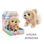 Retriever