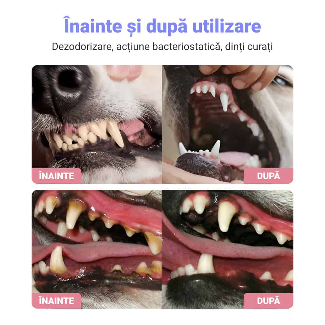 SPRAY DENTAL PENTRU ANIMALE 1+1 GRATIS - imagine 2