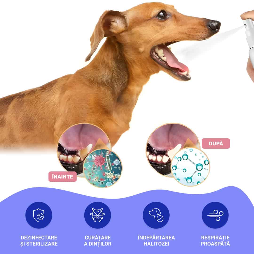 SPRAY DENTAL PENTRU ANIMALE 1+1 GRATIS - imagine 3