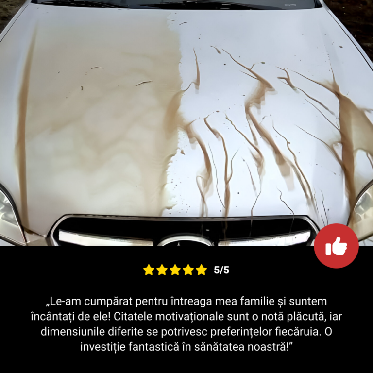 RESTORIDE - Spray pentru protejarea pieselor auto din metal și sticlă - imagine 7
