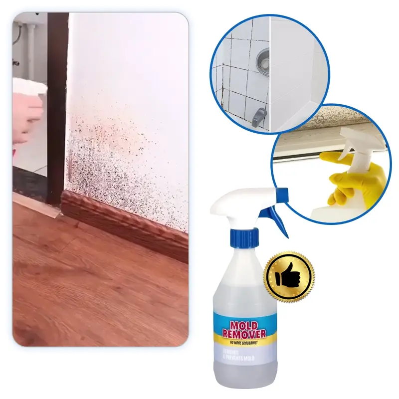 MoldGuard - Îndepărtător de mucegai și protector de lungă durată în spray