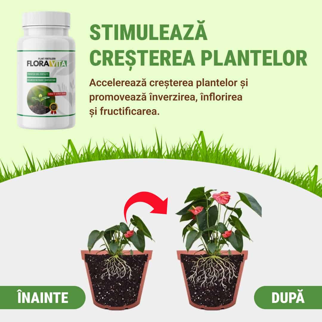 FloraVita™ – Îngrășământ pentru Plante în Toamnă și Iarnă - imagine 2
