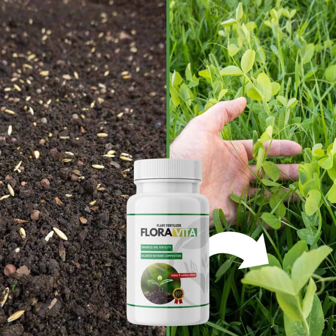 FloraVita™ – Îngrășământ pentru Plante în Toamnă și Iarnă - imagine 3