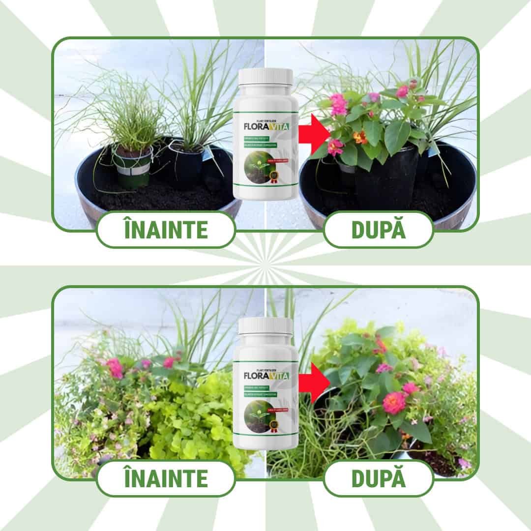 FloraVita™ – Îngrășământ pentru Plante în Toamnă și Iarnă - imagine 5
